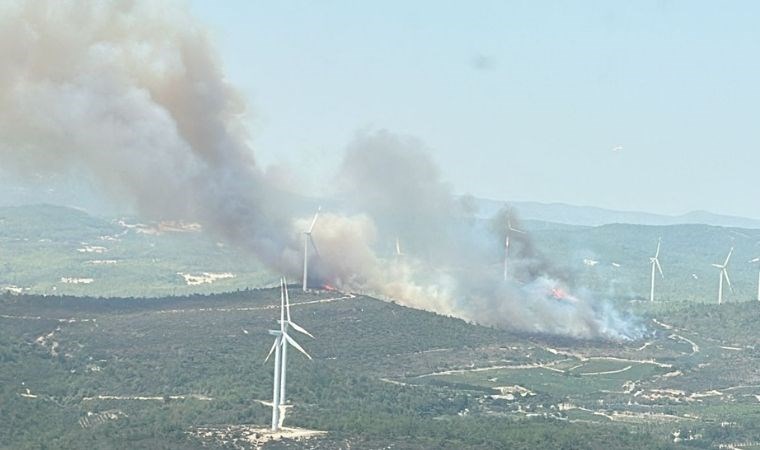 Urla'da orman yangını