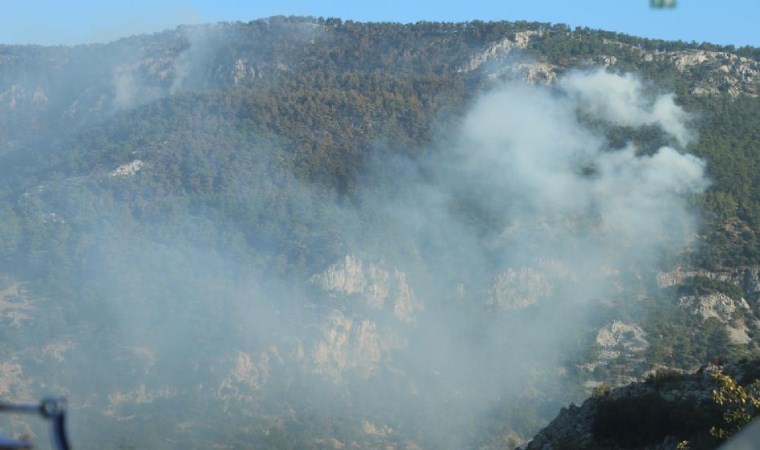 Muğla Menteşe'de orman yangını 20'nci saatinde: Müdahale sürüyor!