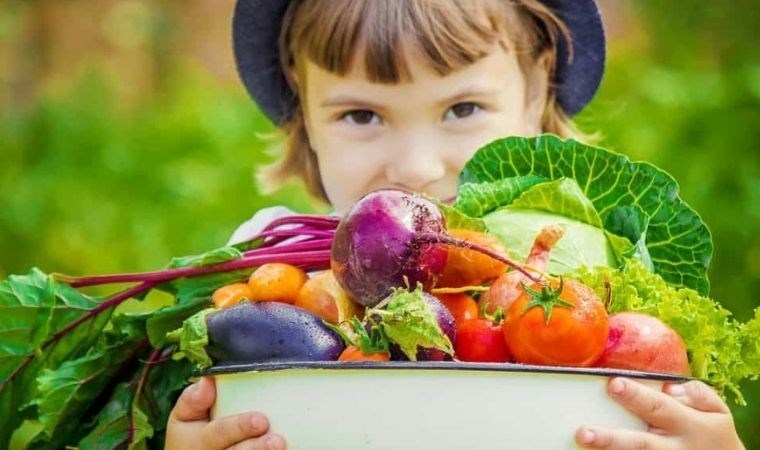 Bu gıdalar bağışıklığı demir gibi sağlam yapıyor: Çocukların bağışıklık sistemini güçlendiren 7 besin