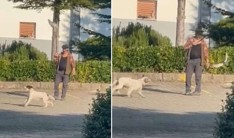 Olta ucuna bağladığı canlı güvercinle av köpeğine eğitim yaptıran kişiye para cezası