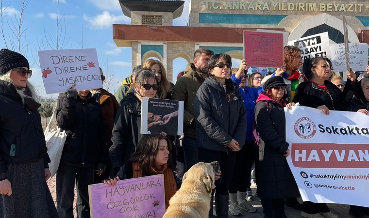 Köpeklerin bakım alanının dozerle yıkılmasına tepki: 'Taleplerimiz gerçekleşmezse direnişimiz büyüyecek'