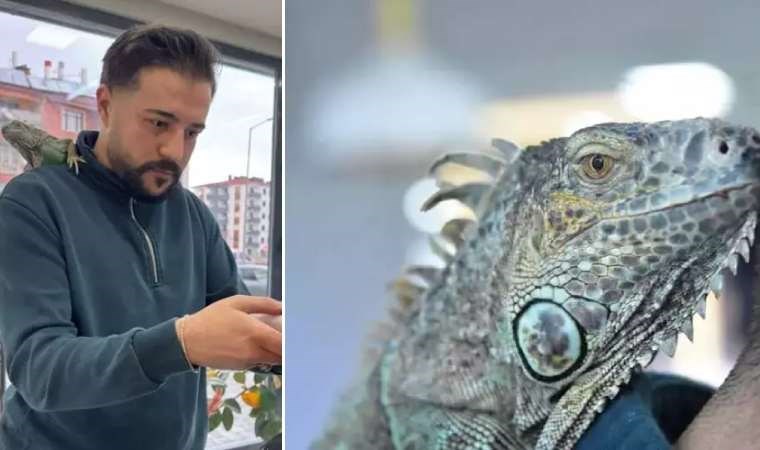 Konya'da bir kuaför, müşterilerini omzunda iguana ile tıraş ediyor