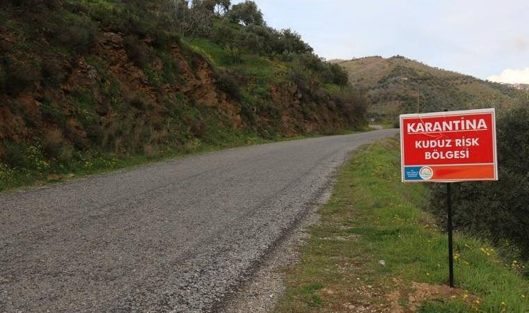 Hatay'da kuduz alarmı: Bir mahalle karantinaya alındı