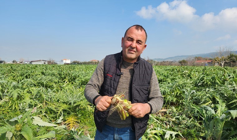 Bütün ürünler çöp oldu: Urla'da 35 gün hasat yapılmayacak!