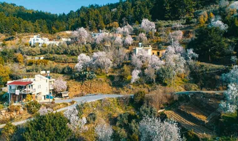 Antalya'da beklenmeyen gelişme: Üreticisi kara kara düşünüyor