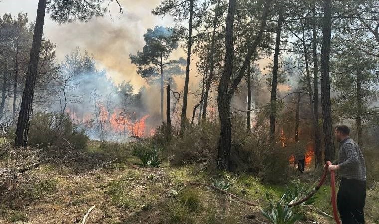 Antalya'da orman yangını: Ekiplerin müdahalesi sürüyor!