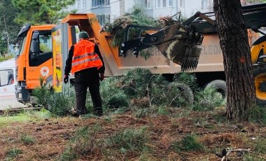 ‘Çam ağaçlarına kıymayın’