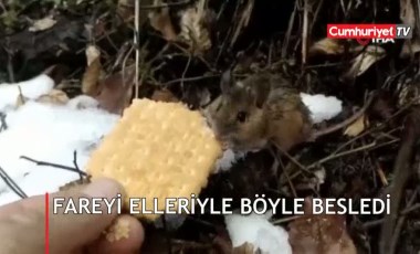 Fareye elleriyle bisküvi yedirdi