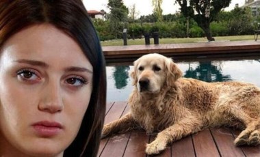 Gizem Karaca: Lütfen yardım edin!