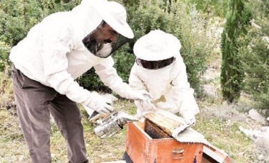 Arıcılık “Büyükşehir” desteği ile yaygınlaşıyor