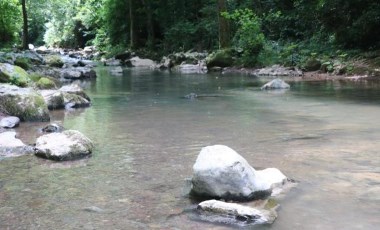 İznik Gölü'ne akan derede kirlilik