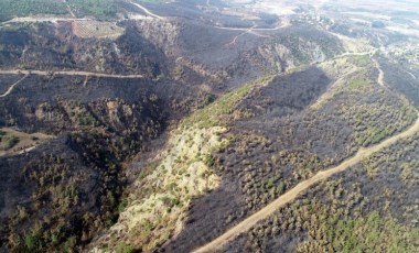 Hatay'da yanan ormanlık alanlar havadan görüntülendi