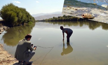 Karasu Nehri'nde ölen balıkları, evlerine götürüp yediler