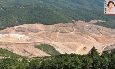 Çevreciler Alamos Gold’u Uluslararası Ceza Mahkemesi’ne şikâyet etti