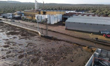 Ayvalık'ta doğa katliamı: Yaklaşık 4 ton atık 3 kilometrelik bir alana yayıldı