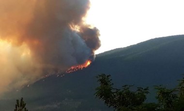 Kastamonu Araç'taki orman yangınında 12 hektarlık alan yandı