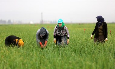 Son 7 yılda en az 817 kadın işçi iş cinayetlerinde yaşamını yitirdi