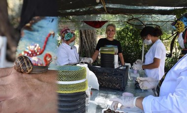 Yerli üretim salyangoz kremine yoğun talep