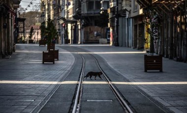 Bilim Kurulu Üyesi bu hafta sonu uygulanacak sokağa çıkma yasağının nedenlerini böyle açıklamıştı