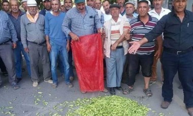 CHP'li Tezcan'dan mağdur olan bamya üreticilerine destek