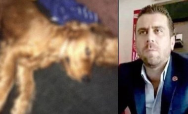 Komşusunun köpeğine tecavüz ederek, öldürdüğü öne sürülen Volkan Uzun serbest bırakıldı