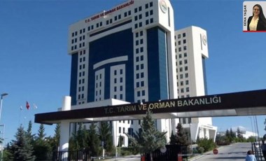 Liyakatsiz atama Orman Bakanlığı’nı karıştırdı