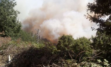 Çanakkale'de orman yangını (30.07.2020)