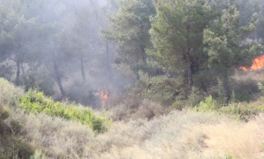 Hatay’da 4 farklı noktada orman yangını