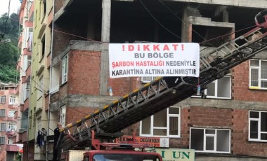 Kesilen büyükbaş şarbonlu çıktı, mahalle karantinaya alındı