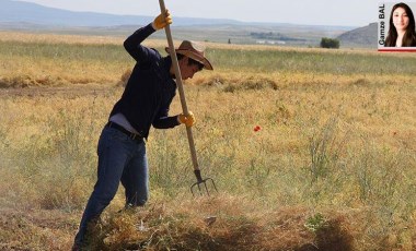 Artan fiyatlar ithalatla terbiye edildi. Tüccarın insafına bırakılan çiftçi yine yoksullaştı