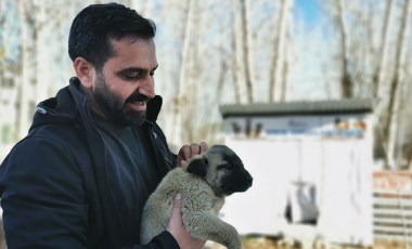 Ovacık Belediye Başkanı, sokak hayvanları için makam ve belediye araçlarını sattı