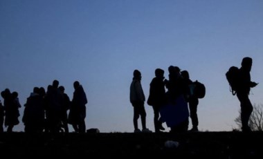 Bitlis'te jandarmanın durdurduğu araçta 29 göçmen yakalandı