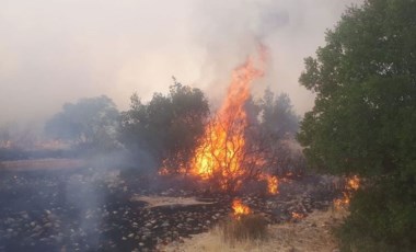 Gaziantep'te korkutan orman yangını