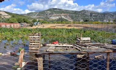 Muğla'da şiddetli yağış; tarım arazilerini su bastı, hayvanlar öldü