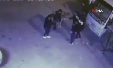 Önce halay çekerek köpekten kaçtılar ardından köpeği halaya kattılar