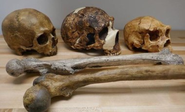 Yeni bir insan türü bulundu: 'Homo bodoensis'