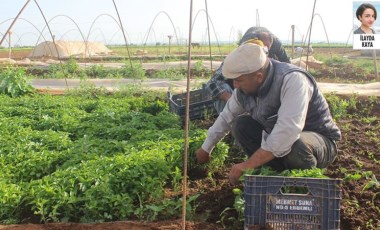 Belediye başkanları, tarım gündemine dair açıklamalarda bulundu (04.10.2021)