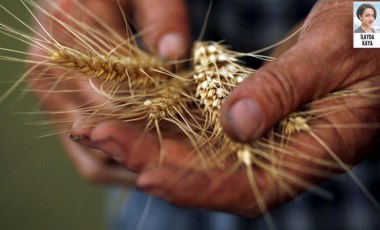 Belediye başkanları, tarım gündemine dair açıklamalarda bulundu (05.10.2021)