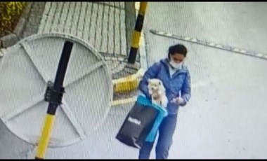 Sarıyer'de önce sevdi, sonra alıp gitti; köpeği çalan kadın kamerada