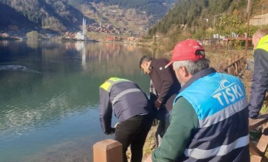 Uzungöl'de balık ölümleri korkutmuştu: Araştırmanın sonucu açıklandı