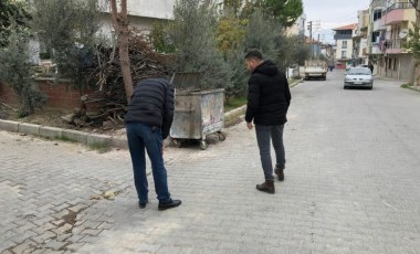 Kedi katillerini yakalamak için özel ekip kuruldu