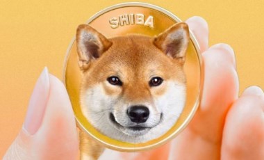 Son dakika | Kripto paralara rekor para akışı: Shiba Coin atağa geçti