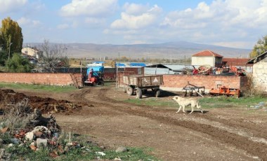 Eskişehir'de kuduz karantinası;  17 köpek öldürüldü