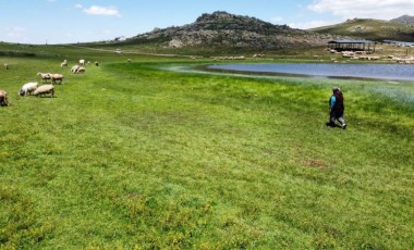 Mahkeme, Emirdağ yaylalarında altın arama faaliyetlerini durdurdu