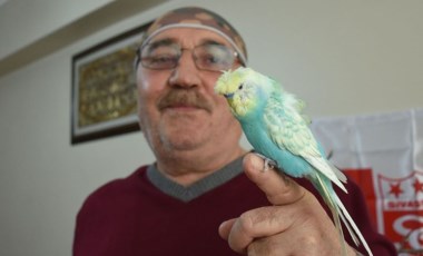 'Yiğido' isimli muhabbet kuşundan Muslera'ya 'geçmiş olsun' mesajı