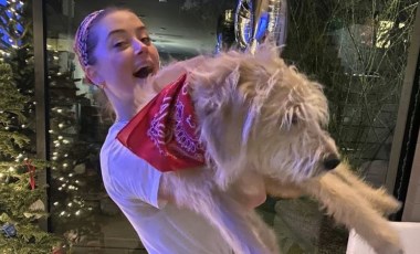 Amber Heard, yeni köpeğine tartıştığı Avustralyalı siyasetçinin ismini verdi