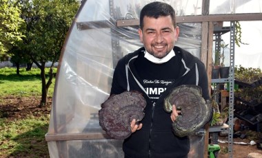 Marmarisli turizmci, 'ölümsüzlük mantarı' buldu