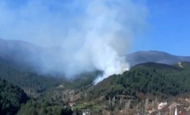 Hatay'ın Samandağ ilçesinde orman yangını çıktı