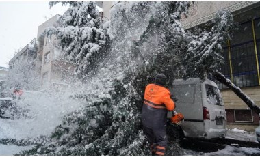 İstanbul'da kar yağışı: Bazı bölgelerde ağaçlar devrildi