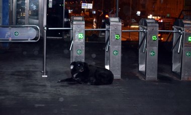 İstanbul’da toplu taşıma yasağında değişiklik